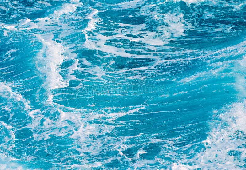 Jules Sea Rena Photo